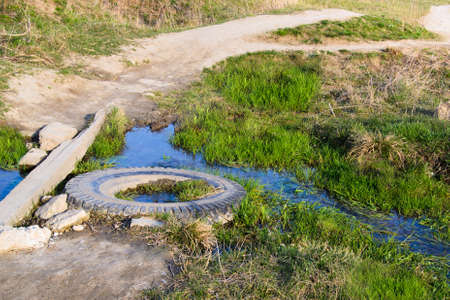 A bridge of logs across a streamの写真素材