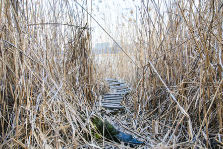 Old wooden platform on the pond at the beginning of the spring dayの写真素材