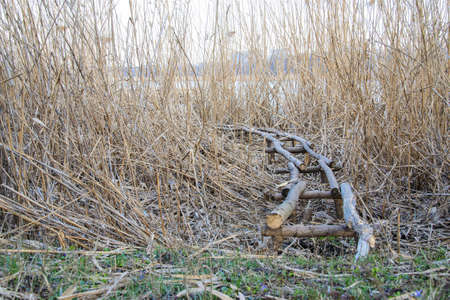 Old wooden platform on the pond at the beginning of the spring dayの写真素材