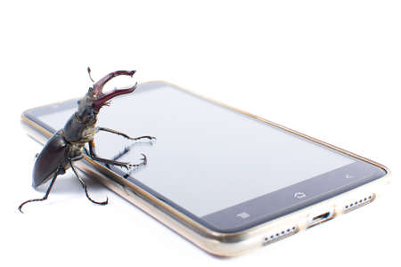 Beetle deer male on mobile modern phone. White background. Isolatedの写真素材