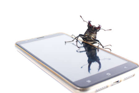 Beetle deer male on mobile modern phone. White background. Isolatedの写真素材
