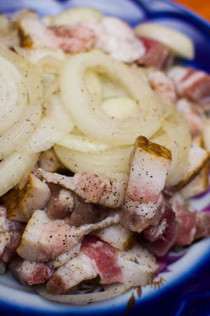 lard with onion and pepper. traditional cuisineの写真素材