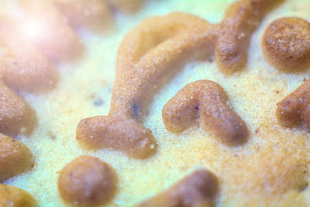 background macro texture of bumps and hollows of different shapes.の写真素材