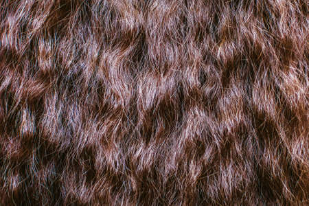 Brown hair close up. Textures and background.