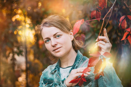 portrait of a beautiful young girl in the autumn in the leaves in the light of the bright sun.の写真素材