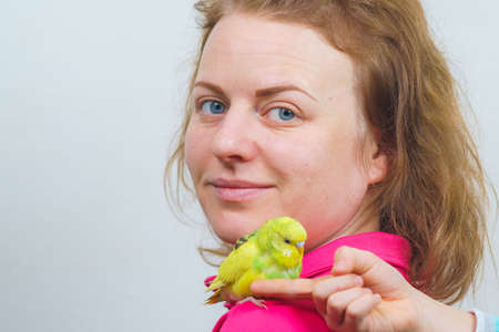 Funny budgie. A cute yellow budgie parrot is sitting on the girl s shoulder. Tamed petの写真素材