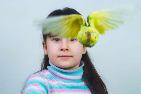 the child plays and communicates with his green hand-wavy parrot. Tamed Petの写真素材