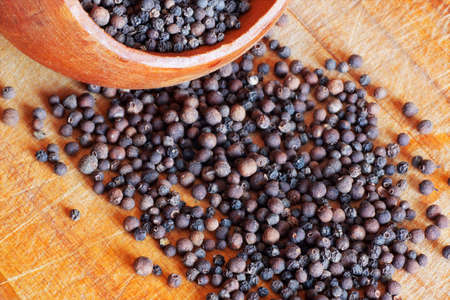 spiceの写真素材