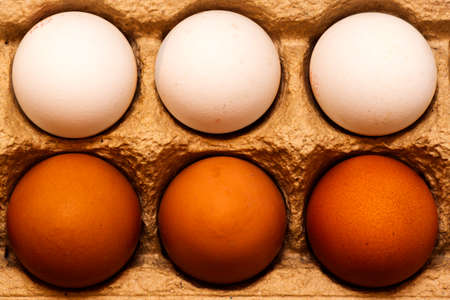 chicken eggsの写真素材