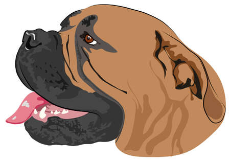 The dog's head with open mouth.のイラスト素材