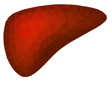 Abstract polygonal image of the liver - vectorのイラスト素材