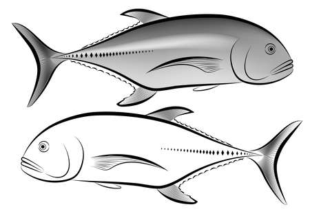 Image of a Caranx ignobilis in black and white and gray vector illustrationのイラスト素材