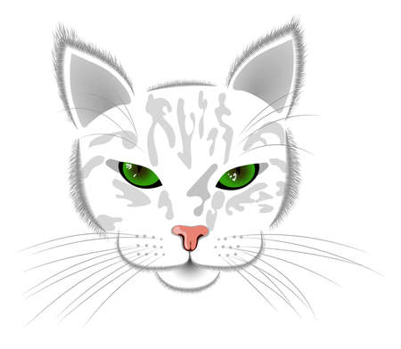 Abstract image of a cat with green eyes vector illustrationのイラスト素材