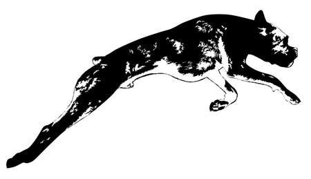 Jumping dog silhouette isolated on white background vector illustrationのイラスト素材