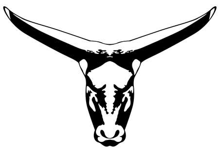 Black and white image of a bull's head vector illustrationのイラスト素材