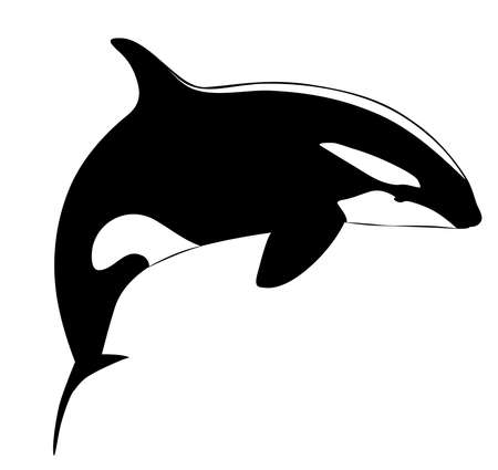 Black and white image of a jumping orka vector illustrationのイラスト素材