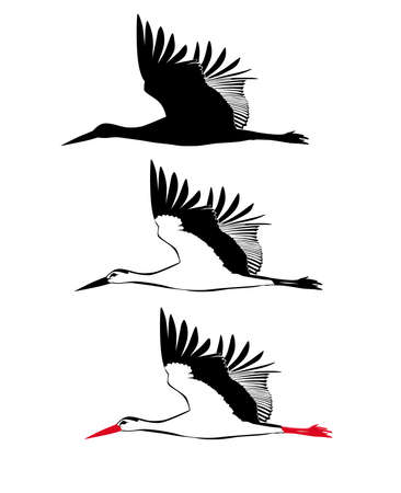 Three versions of the image of a flying stork vector illustrationのイラスト素材