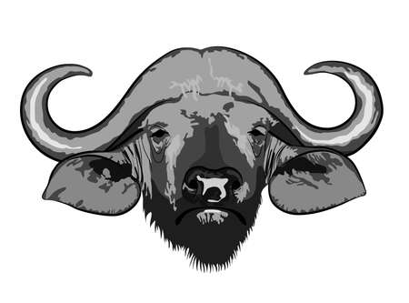 Black and gray image of the head of an African buffalo vector illustrationのイラスト素材