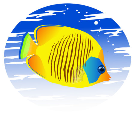 The image of a tropical fish in color vector illustrationのイラスト素材