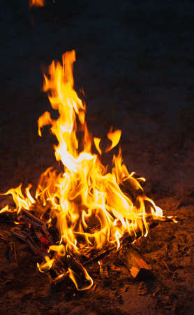 high flame of a bonfire. Fire in nightの写真素材