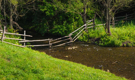 stream shallow river around green trees and grassの写真素材