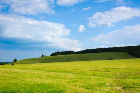 beauty green summer rural landscape view on blue sky backgroundsの写真素材
