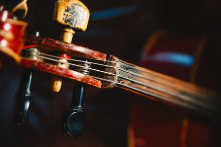 fretboard of old shabby cello on a black backgrounds. の写真素材