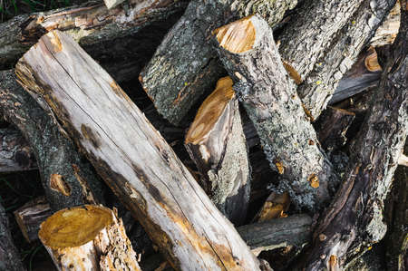 stack of firewood. close-up photoの写真素材