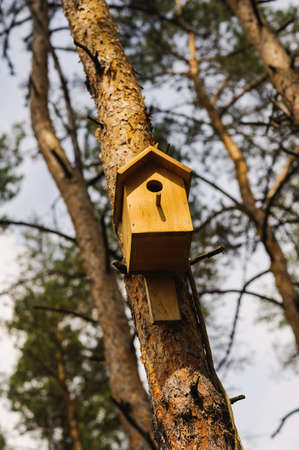 wooden Birdhouse hang on pine treeの写真素材