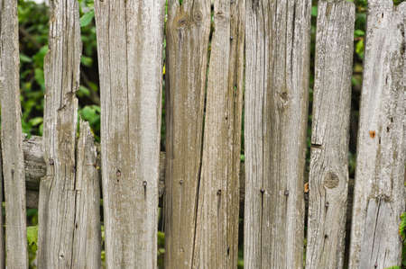 Old shabby wooden fence. Rural abstract backgroundsの写真素材