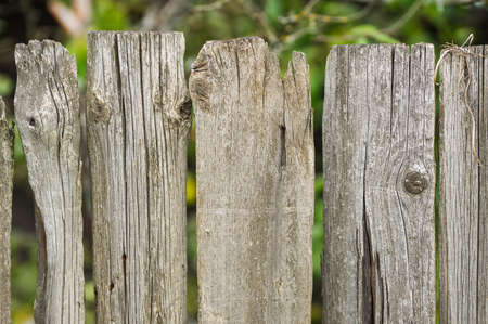 Old shabby wooden fence. Rural abstract backgroundsの写真素材