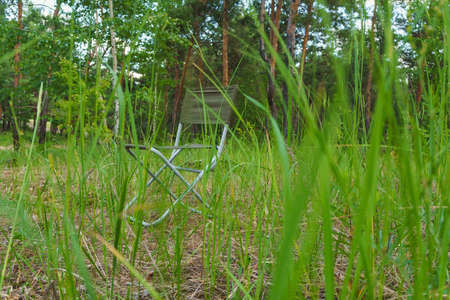 one chair in a green forest. rest quiet placeの写真素材