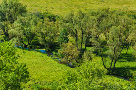 small river flows on green dale. landscape viewの写真素材