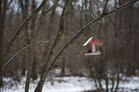 open wooden Birdhouse hang on a treeの写真素材