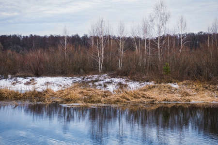 non-freezing river on winter forest backgroundの写真素材