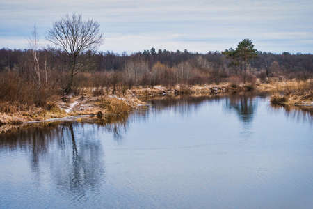non-freezing river on winter forest backgroundの写真素材