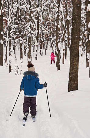 children skiing in winter forestの写真素材
