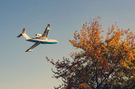 plane flying in the sky against the background of golden autumn treeの写真素材