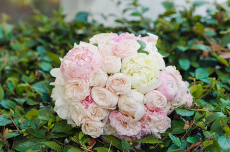big closeup wedding bouquet of roses lying on green leavesの写真素材