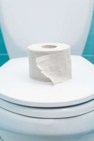 Torn roll of toilet paper lies on the closed lid of the toilet bowl. Selective focus on paperの写真素材