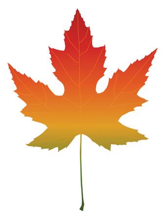 Isolated maple leaf with autumn color gradient. Vector illustrationのイラスト素材