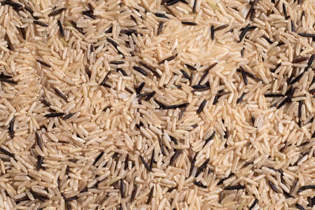 A mixture of wild and unpolished rice textureの写真素材