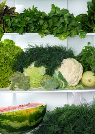 Front view of the contents of the refrigerator with dill and parsley, basil, spinach, kale and half the watermelon on the bottom shelf. Vegan food.の写真素材
