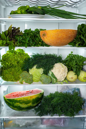 The contents of the refrigerator with dill and parsley, basil, spinach, cabbage, green onions and half a watermelon. There is the yellow melon on the top shelf. Front view. Vegan food.の写真素材