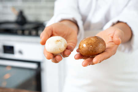 View of the chef's hands demonstrating mushrooms of different shades. Close-up.の写真素材