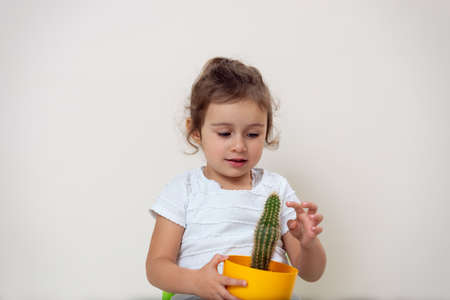 The little girl on a bright background with a smile touches a cactus.の写真素材