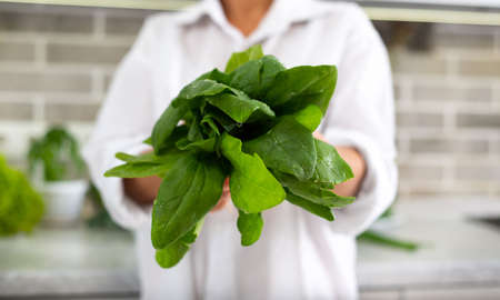 The young female chef shows a bunch of green spinach to the camera.