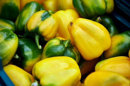 Close-up of fruits of the yellow-green bell pepper.