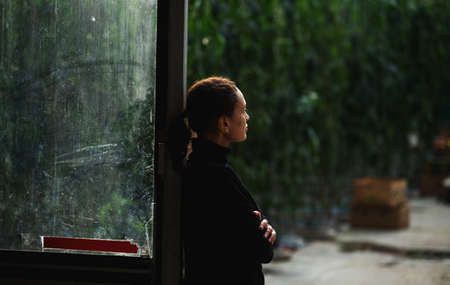 Business in modern greenhouses all year round. Side view of the young female entrepreneur standing at the entrance to a hangar. Green plants are visible in the background.の写真素材