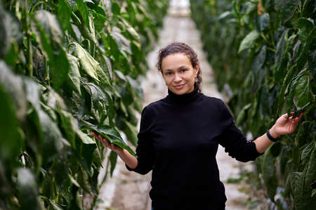 Business in modern greenhouses. The young woman stands between the beds and touches the plants with...